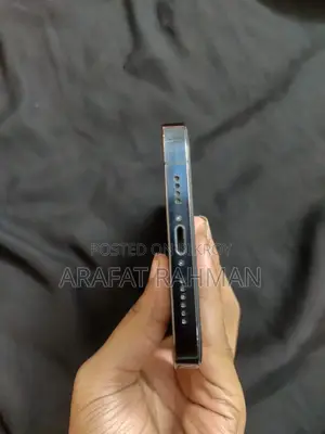 Apple iPhone 12 Pro Max 256 GB Blue