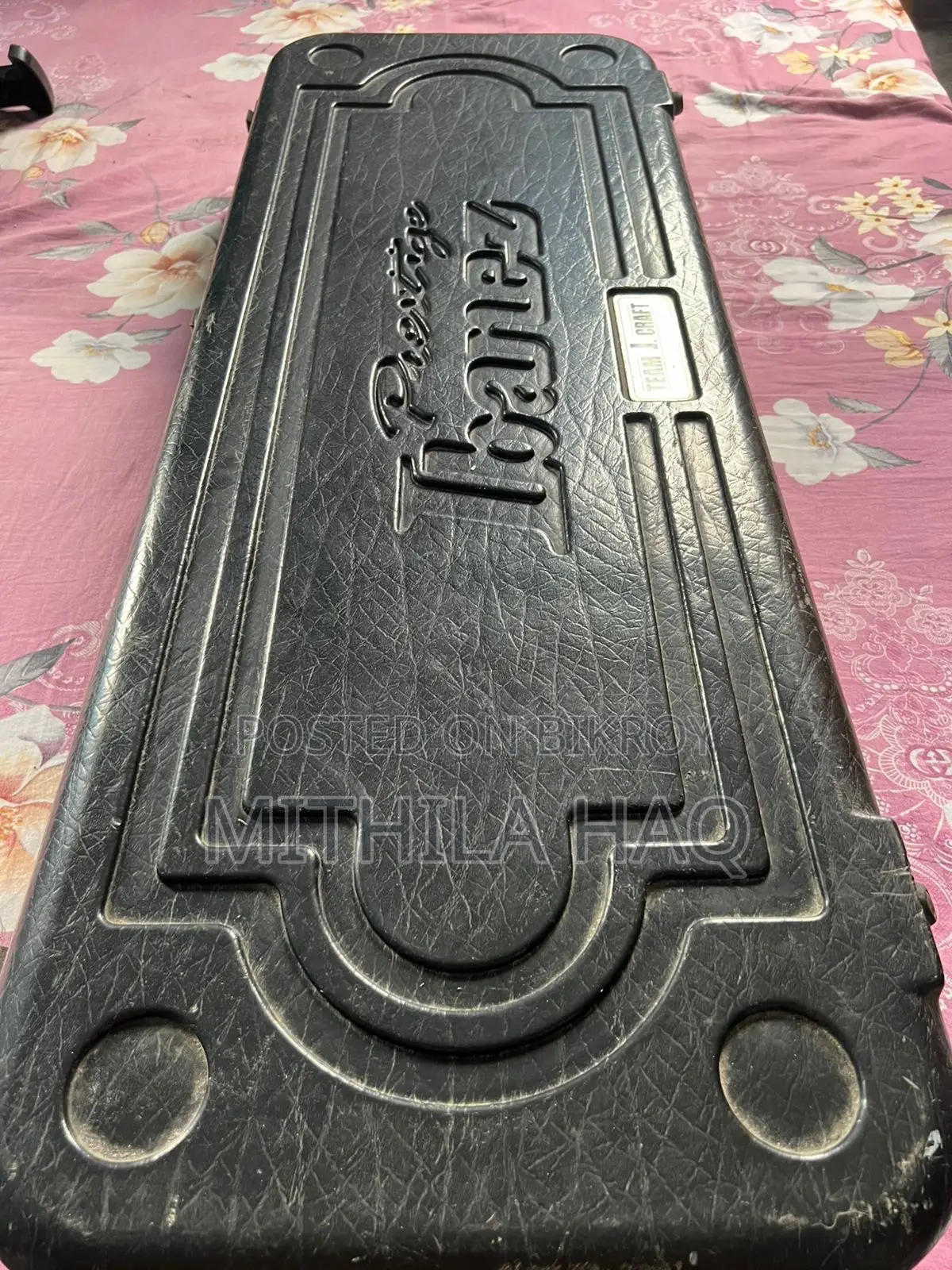 Ibanez Electric Guitar