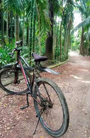 টাকার প্রয়োজন তাই বিক্রি করবো