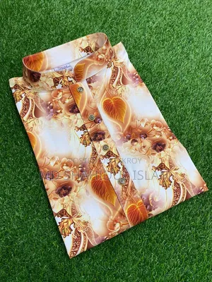3D Panjabi