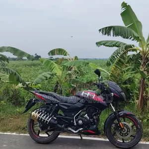 Bajaj Pulsar 150 2024 Black