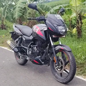 Bajaj Pulsar 150 2024 Black