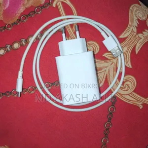 Vivo Y17s Original 18 Watt Charger