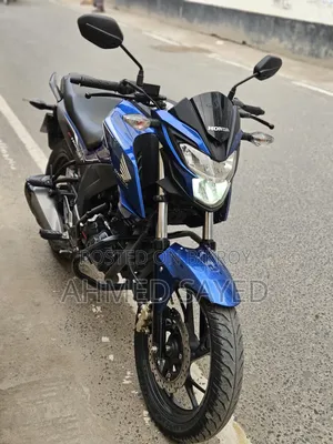 হোন্ডা হর্নেট ২০২৩ নীল
