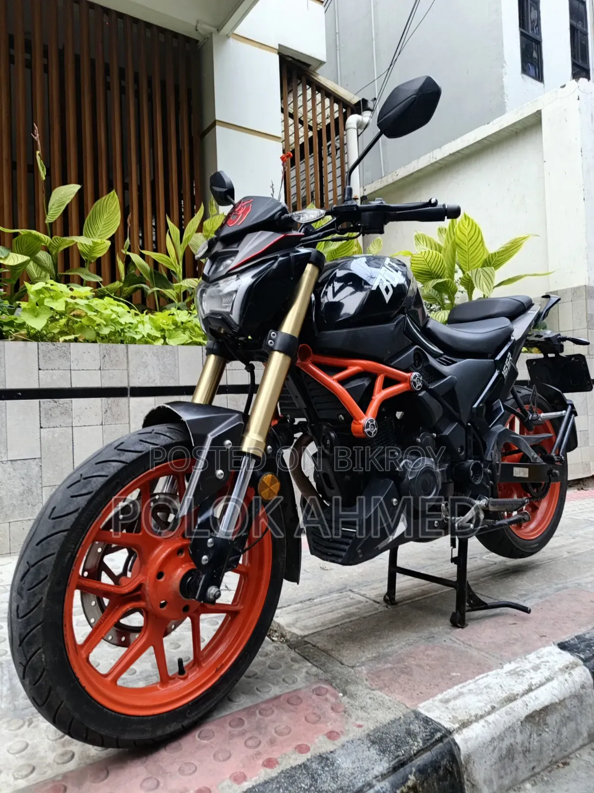 Beetle Bolt Corbet 2022 Black