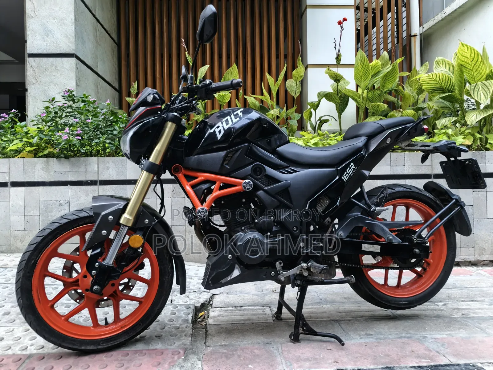 Beetle Bolt Corbet 2022 Black