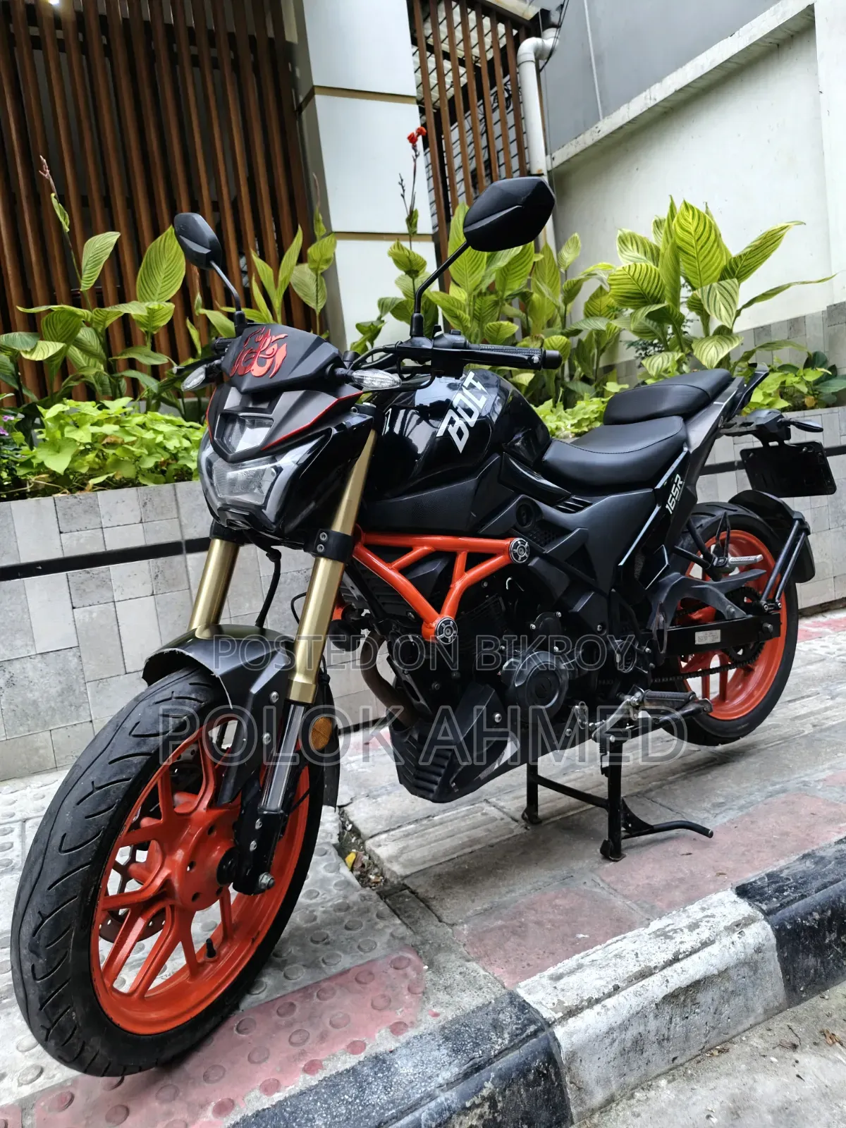 Beetle Bolt Corbet 2022 Black