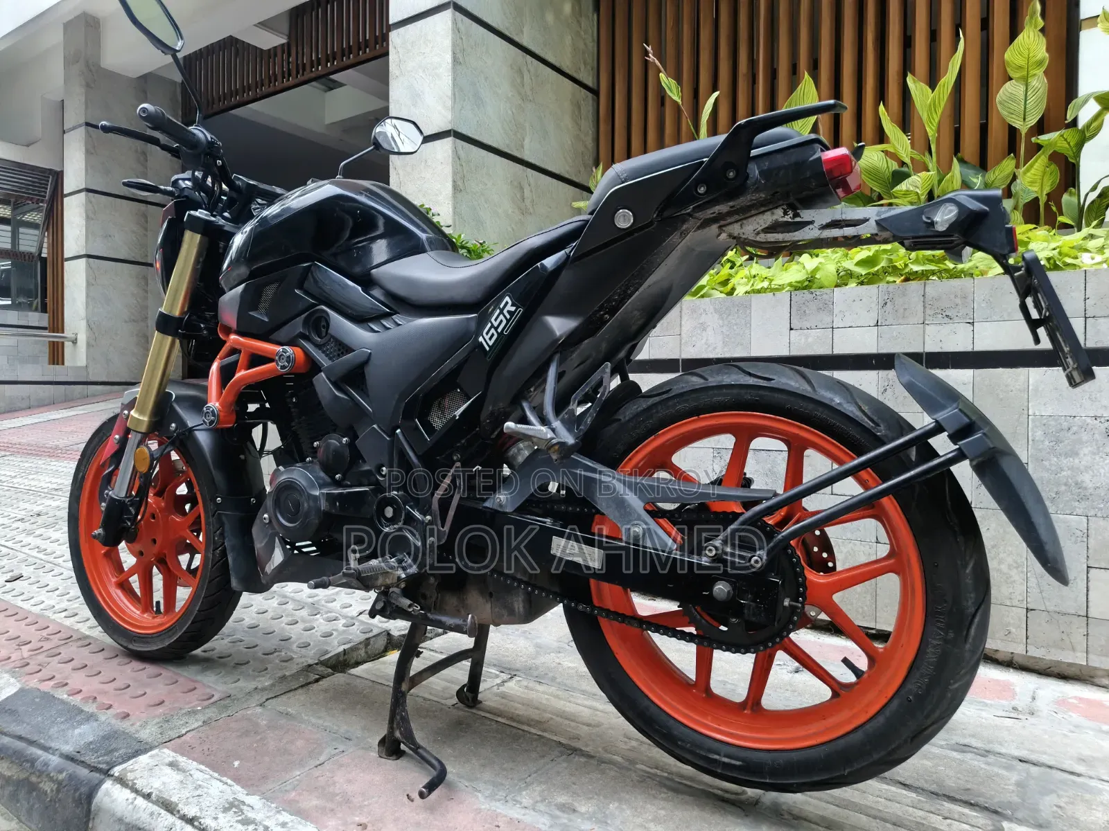Beetle Bolt Corbet 2022 Black