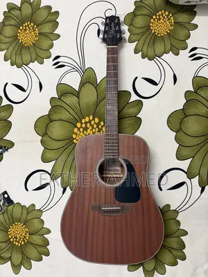 Takamine Acoustic Guitar(Gd11m)