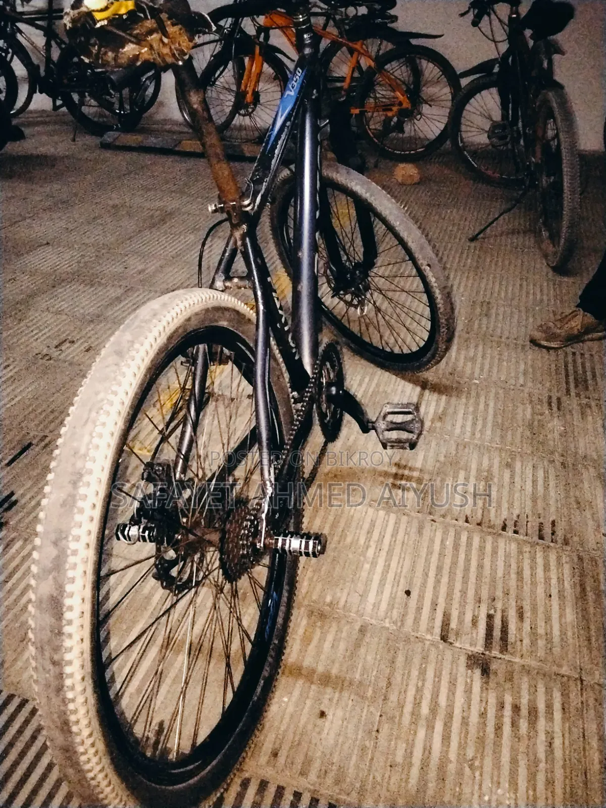 Falcon Cycle