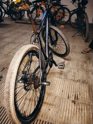 Falcon Cycle