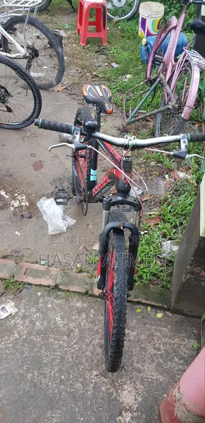 Avon MTB Cycle 24 Inch