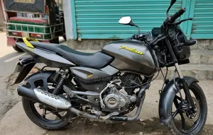 বাজাজ পালসার ১৫০ ২০২৬ গ্রে