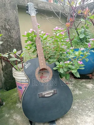 Guitar for sell
