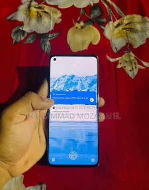 অপো রেনো৬ প্রো ৫জি ২৫৬ জিবি গ্রিন
