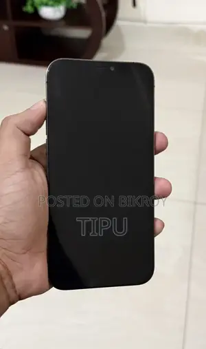 অ্যাপল আইফোন ১২ প্রো ম্যাক্স ২৫৬ জিবি গ্রে