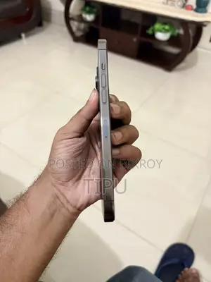 Apple iPhone 12 Pro Max 256 GB Gray