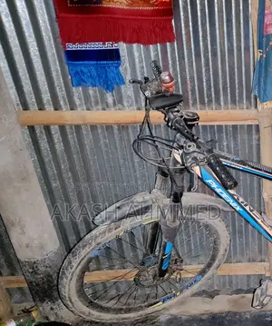 Phoenix Kubo Cycle