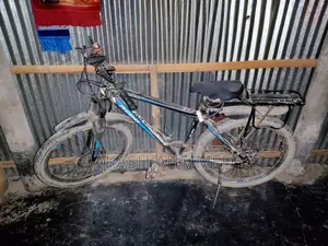 Phoenix Kubo Cycle
