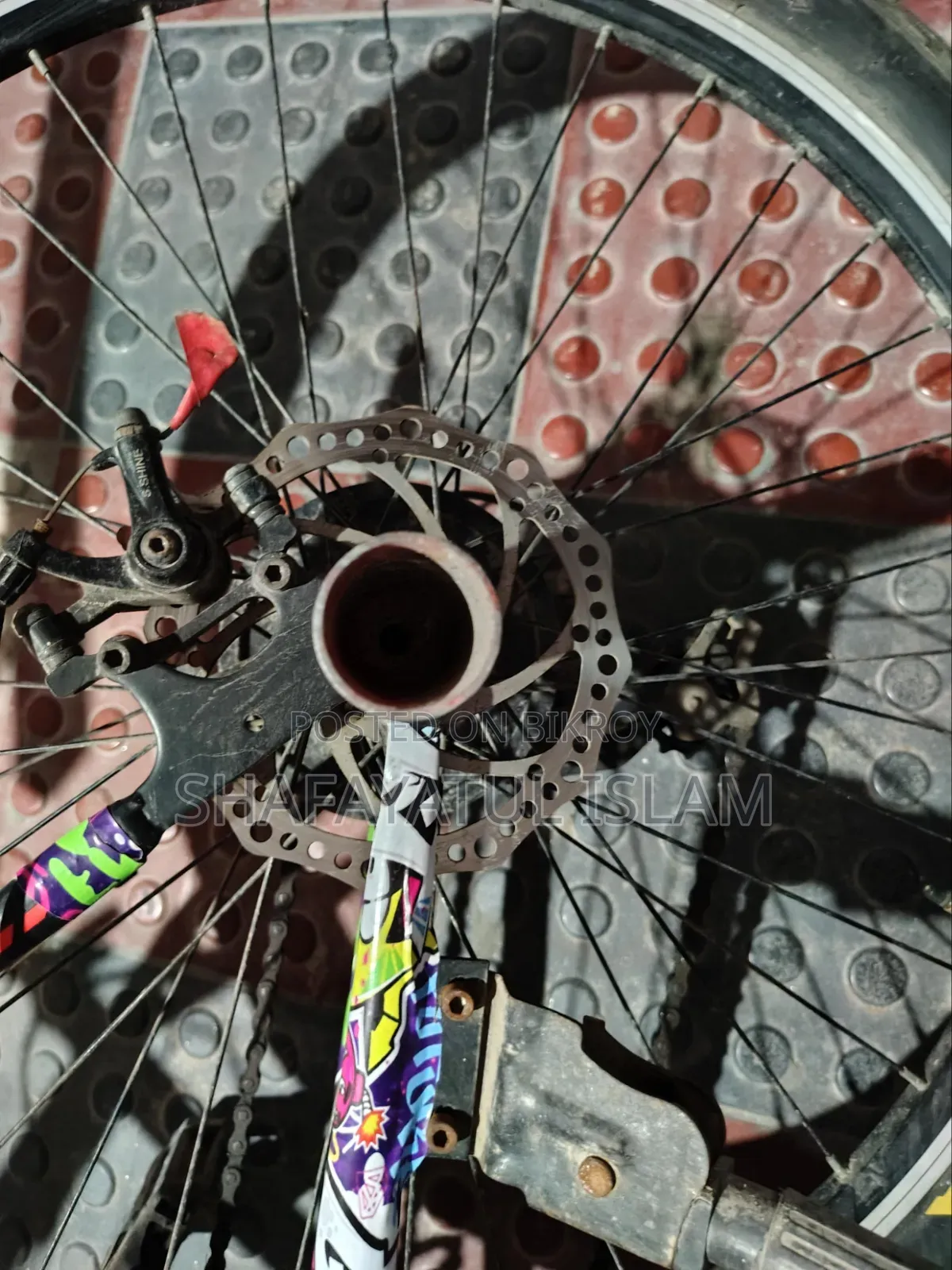 Cycle Duronto Muscular 26