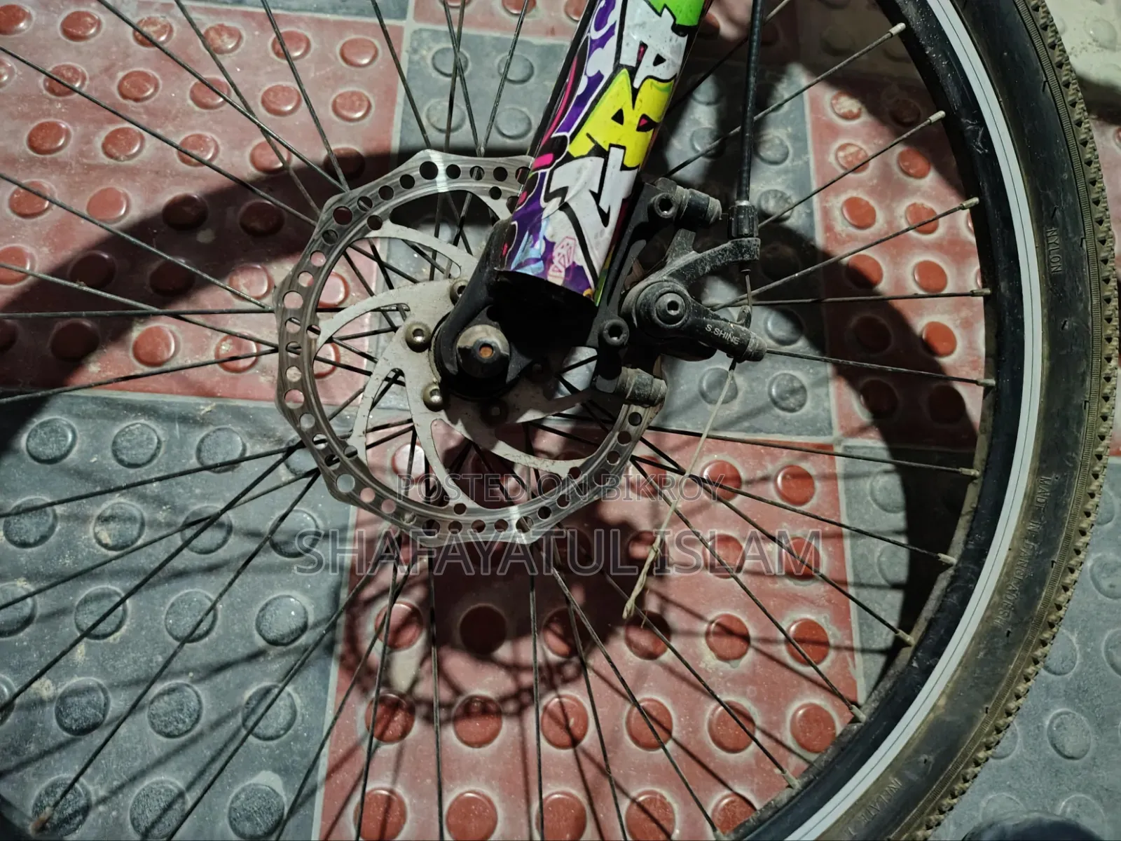 Cycle Duronto Muscular 26