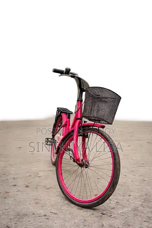 Ladies Bicycle for Sale