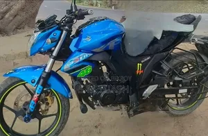 সুজুকি জিক্সার মনোটোন ২০১৯ সবুজ