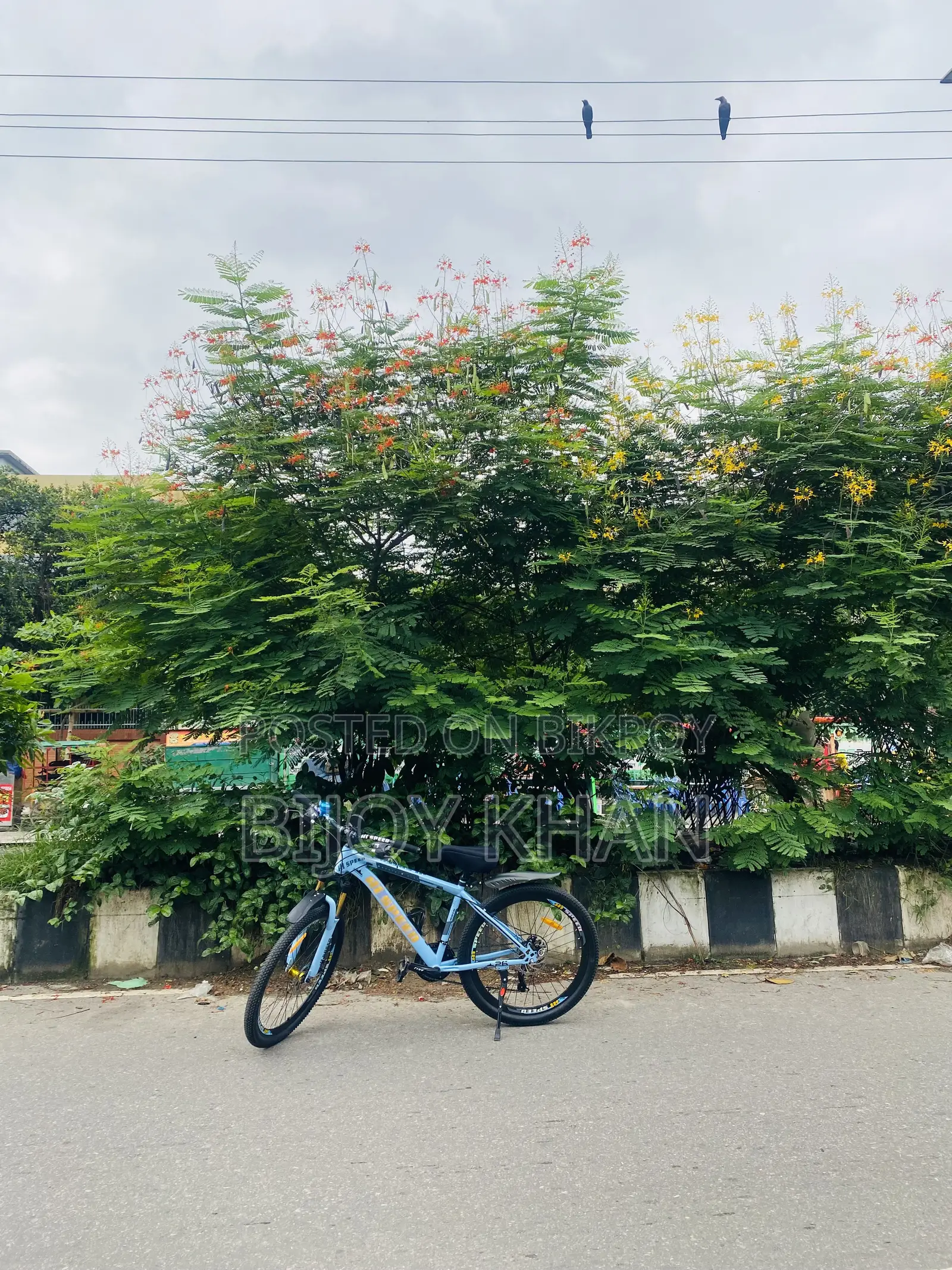 আকিজ বন্ধু ২০২৫ ব্লু