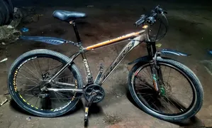 Phoenix 26 Size 7/3 Gear Cycle Alo