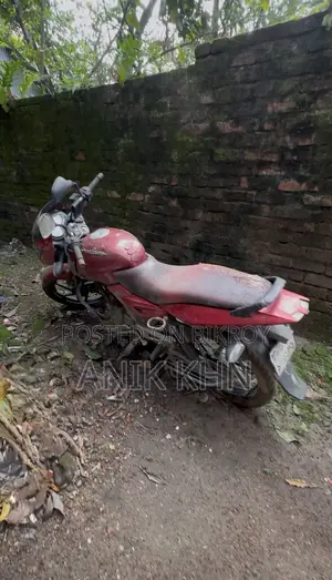 Bajaj Pulsar 150 2009 Red