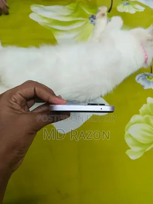 Oppo A97 256 GB