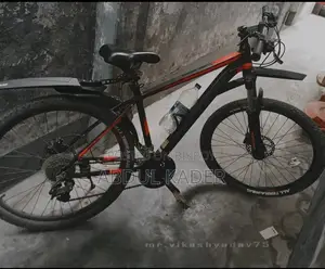Totem Honor 300 Mountain Bike for Sale