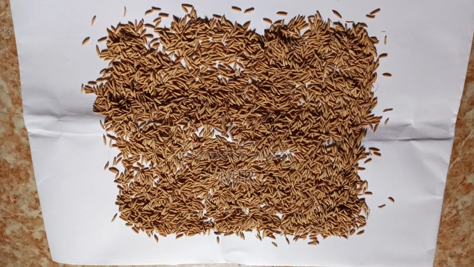 চিকন চালের ধান