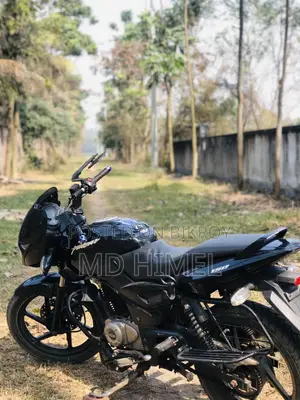 Bajaj Pulsar 150 2016 Black