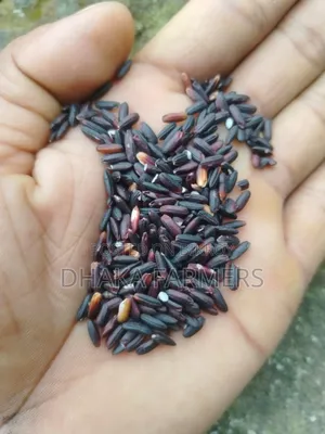 ব্ল্যাক রাইস