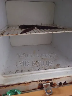 Samsung Brand Refrigerator