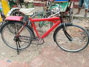 Ponix Bicycle