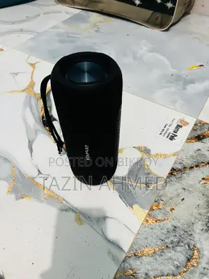 Audio Speaker