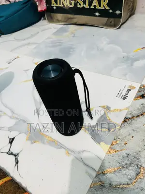 Audio Speaker