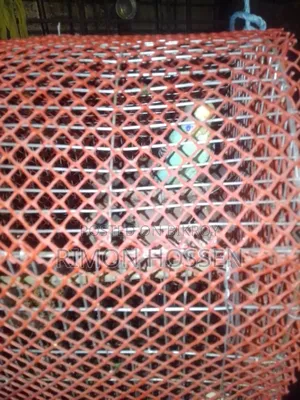 Budgie Bird For Sale