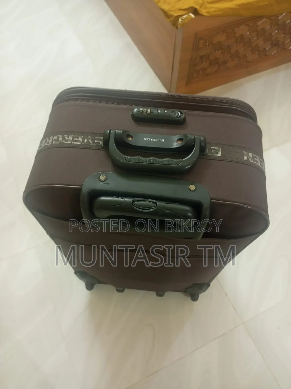 এভারগ্রীন ট্রলি ব্যাগ