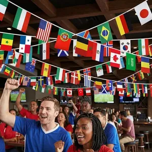 Fifa World Cup Flag Set