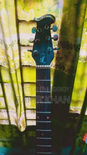 Signature Guitar Model 265