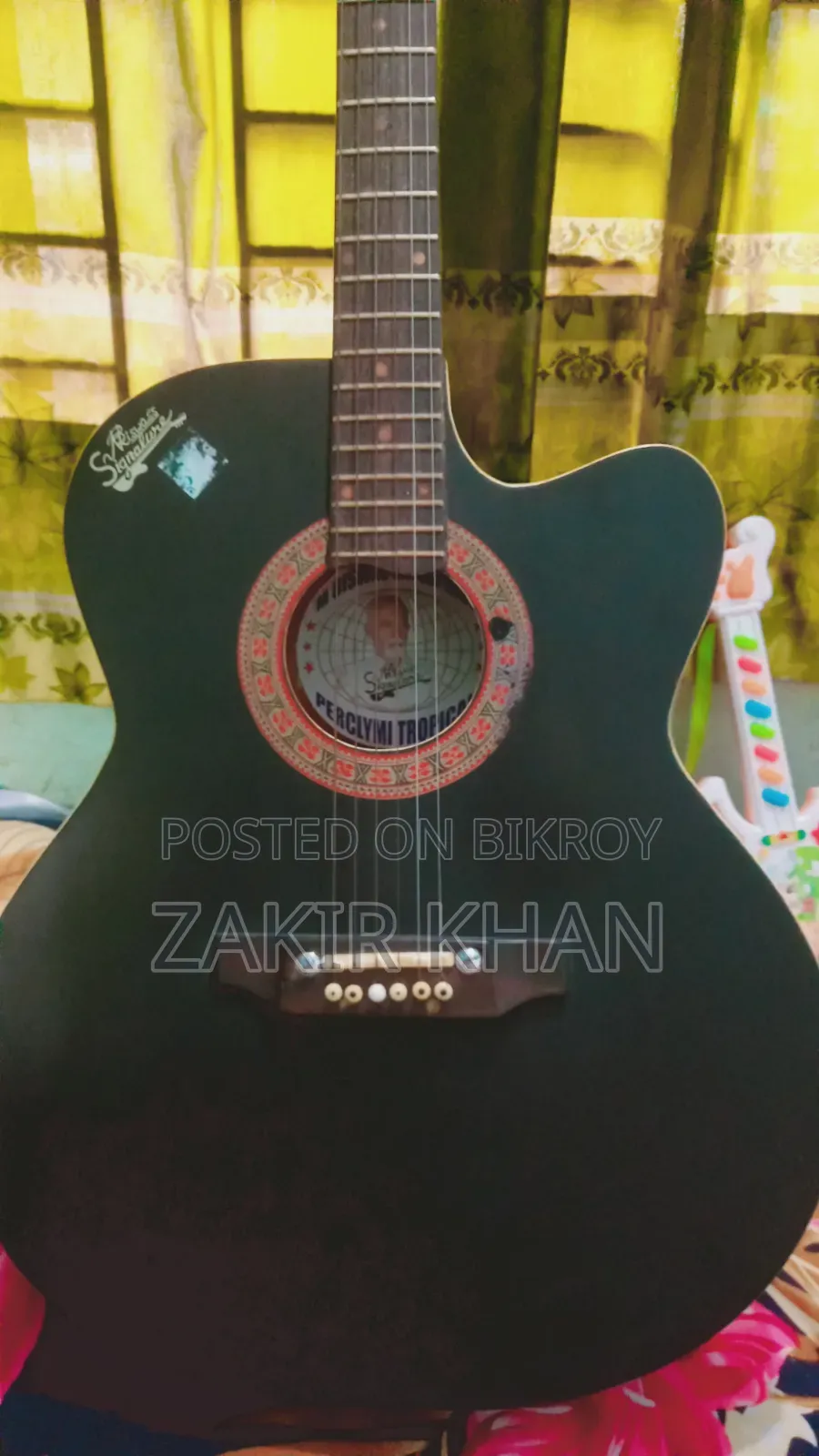 Signature Guitar Model 265