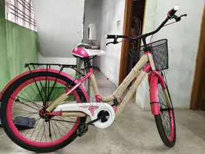 Brand New Cycle