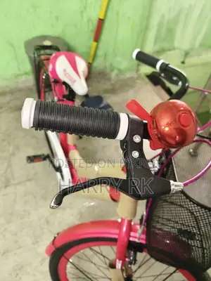 ব্র্যান্ড নিউ সাইকেল