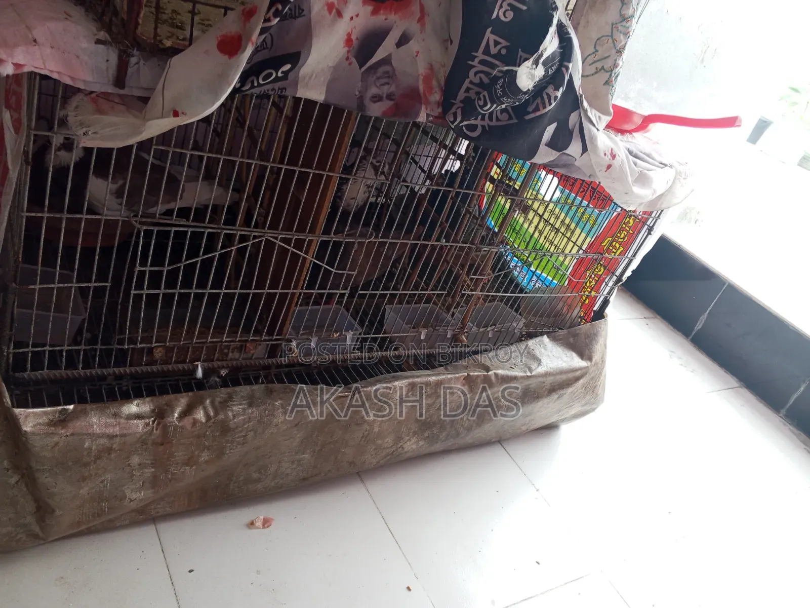 কোয়েল পাখির খাঁচা