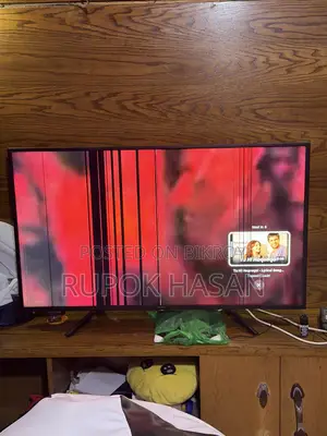 Television
