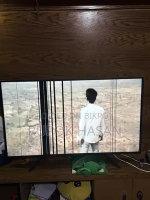 Television