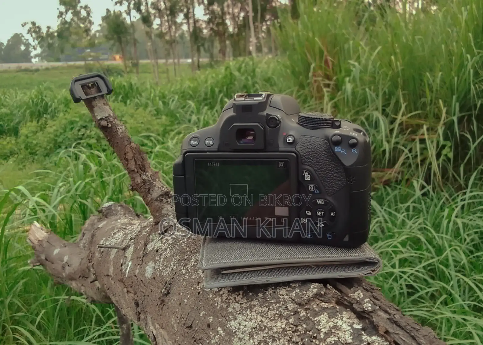 Canon Eos 700d + 50mm Prime Lens